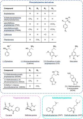 Cellular Uptake of Psychostimulants – Are High- and Low-Affinity Organic Cation Transporters Drug Traffickers?